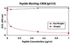 Human CREB (Phospho) [pS133] ELISA Kit