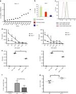 IFN gamma Antibody in Flow Cytometry (Flow)