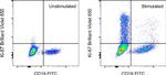 Ki-67 Antibody in Flow Cytometry (Flow)