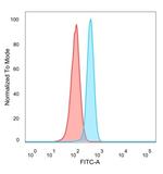 Microphthalmia Transcription Factor (MITF) Antibody in Flow Cytometry (Flow)
