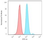 Ki-67 Antibody in Flow Cytometry (Flow)