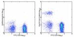 CD19 Antibody in Flow Cytometry (Flow)