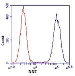 NNT Antibody in Flow Cytometry (Flow)