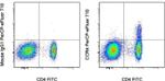 CD194 (CCR4) Antibody in Flow Cytometry (Flow)