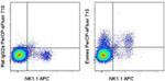 EOMES Antibody in Flow Cytometry (Flow)