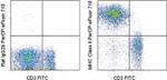 MHC Class II (I-A/I-E) Antibody in Flow Cytometry (Flow)