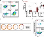 CD152 (CTLA-4) Antibody in Flow Cytometry (Flow)