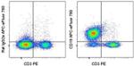 CD19 Antibody in Flow Cytometry (Flow)