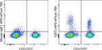 CD73 Antibody in Flow Cytometry (Flow)