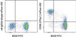 CD90.2 (Thy-1.2) Antibody in Flow Cytometry (Flow)