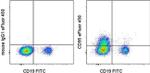 CD95 (APO-1/Fas) Antibody in Flow Cytometry (Flow)