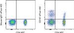 CD161 Antibody in Flow Cytometry (Flow)