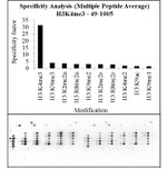 H3K4me3 Antibody in Peptide array (Array)