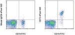 CD72 Antibody in Flow Cytometry (Flow)