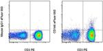 CD146 Antibody in Flow Cytometry (Flow)