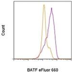 BATF Antibody in Flow Cytometry (Flow)