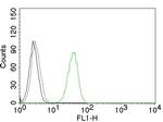 CD31/PECAM-1 (Endothelial Cell Marker) Antibody in Flow Cytometry (Flow)