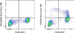 CD206 (MMR) Antibody in Flow Cytometry (Flow)
