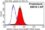 Annexin A1 Antibody in Flow Cytometry (Flow)