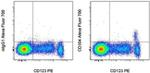 CD304 (Neuropilin-1) Antibody in Flow Cytometry (Flow)