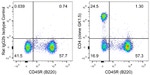 CD4 Antibody