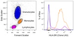 HLA-DR Antibody