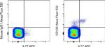 CD123 Antibody in Flow Cytometry (Flow)