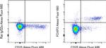 FOXP3 Antibody in Flow Cytometry (Flow)