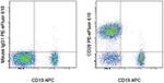 CD28 Antibody in Flow Cytometry (Flow)