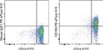 CD169 (Siglec-1) Antibody in Flow Cytometry (Flow)