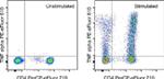 TNF alpha Antibody in Flow Cytometry (Flow)