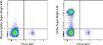 CD8a Antibody in Flow Cytometry (Flow)