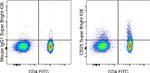 CD25 Antibody in Flow Cytometry (Flow)