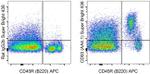 CD93 (AA4.1) Antibody in Flow Cytometry (Flow)