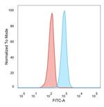 RXRB Antibody in Flow Cytometry (Flow)