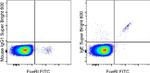 IgE Antibody in Flow Cytometry (Flow)