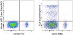 CD8a Antibody in Flow Cytometry (Flow)