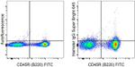 Armenian Hamster IgG Isotype Control in Flow Cytometry (Flow)