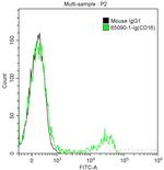 CD16 Antibody in Flow Cytometry (Flow)