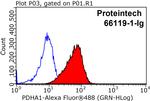 PDH E1 alpha Antibody in Flow Cytometry (Flow)