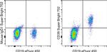 CD39 Antibody in Flow Cytometry (Flow)