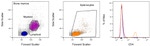 CD4 Antibody