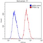 CD72 Antibody in Flow Cytometry (Flow)