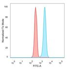 STAT6 (Solitary Fibrous Tumor Marker) Antibody in Flow Cytometry (Flow)