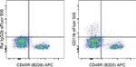 CD11b Antibody in Flow Cytometry (Flow)