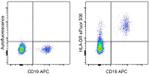 HLA-DR Antibody in Flow Cytometry (Flow)