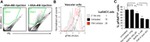 Phospho-FAK (Tyr397) Antibody in Flow Cytometry (Flow)