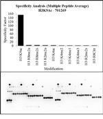 H3K9ac Antibody in Peptide array (ARRAY)