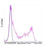 DYKDDDDK Tag Antibody in Flow Cytometry (Flow)