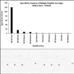 H3K27me1 Antibody in Peptide array (ARRAY)